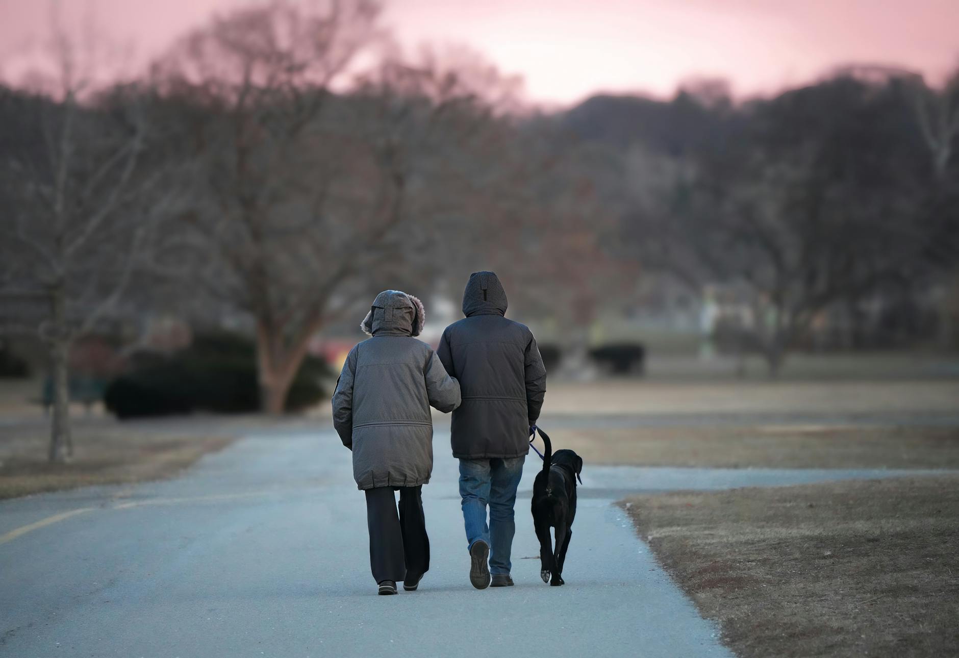 Para z psem na spacerze w parku zimą o zmierzchu