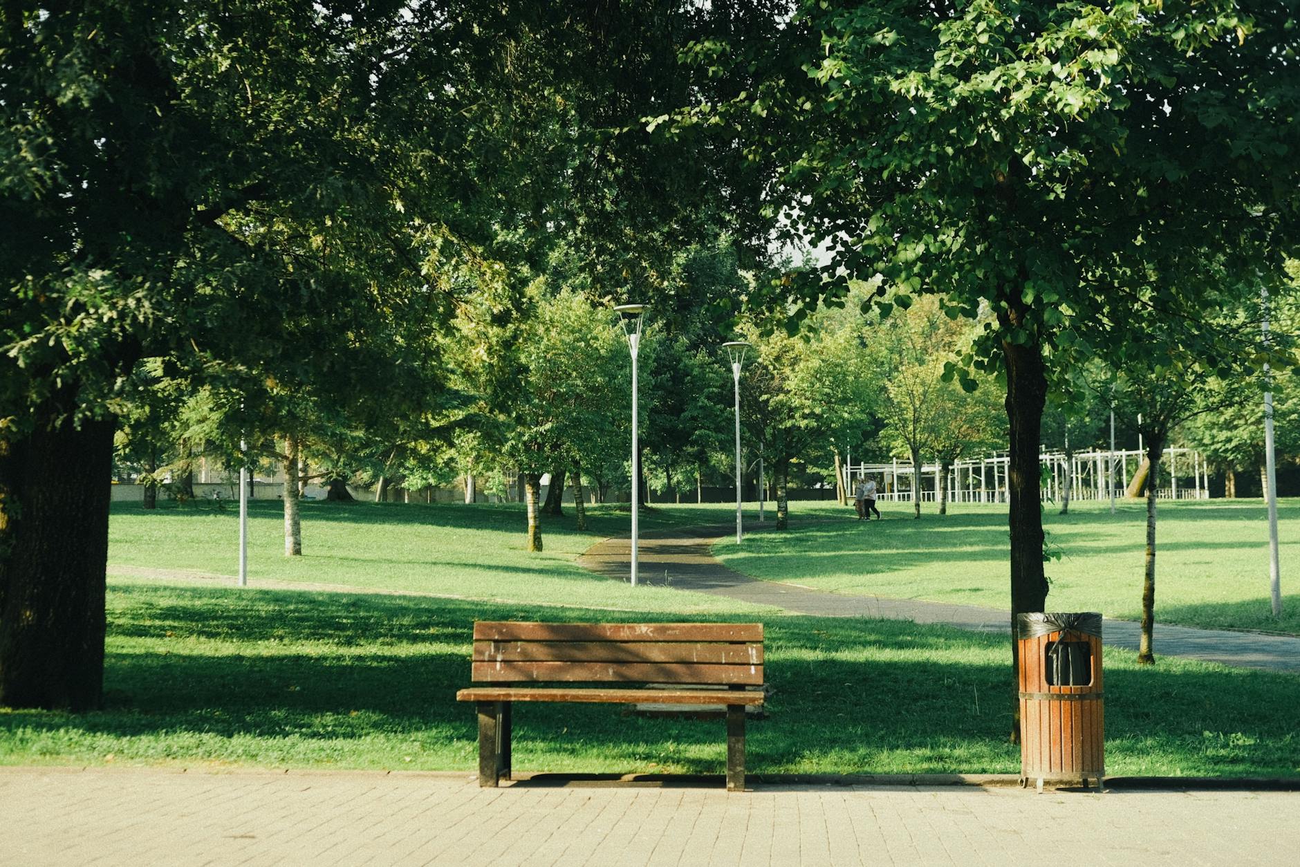 Ławka w zacienionym parku w Gnieźnie latem