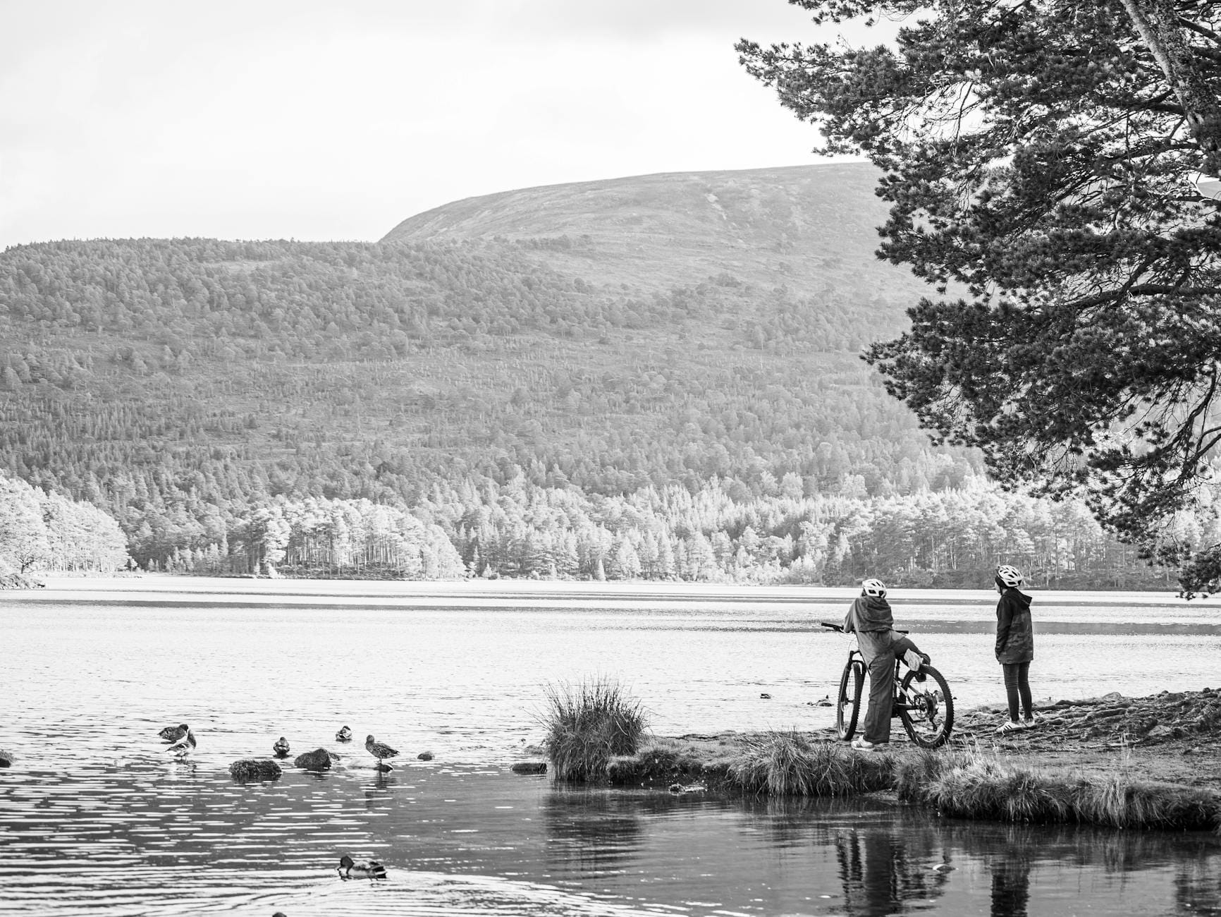 Rowerzyści jadą wzdłuż spokojnego jeziora otoczonego drzewami